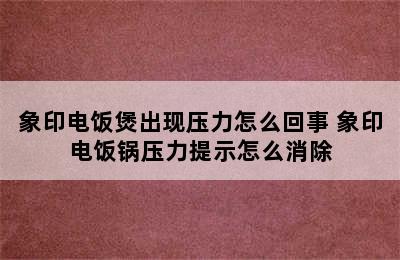 象印电饭煲出现压力怎么回事 象印电饭锅压力提示怎么消除